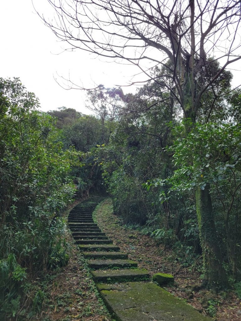 112.01.26 瑞芳-金字碑古道_2006740