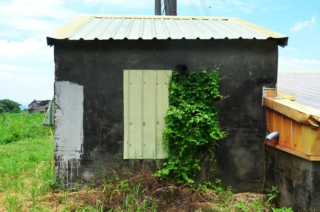 鐵砧山 - 順訪鐵砧山碉堡_1752499