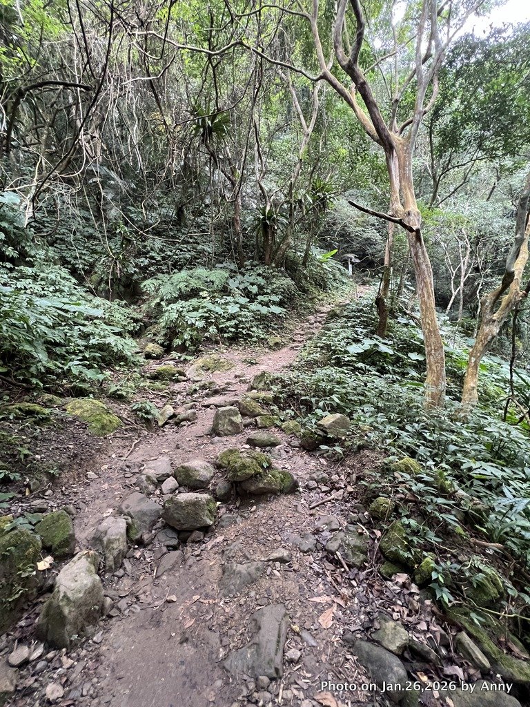 【新竹縣】親民又原始的馬胎古道＋南坪古道_2991195