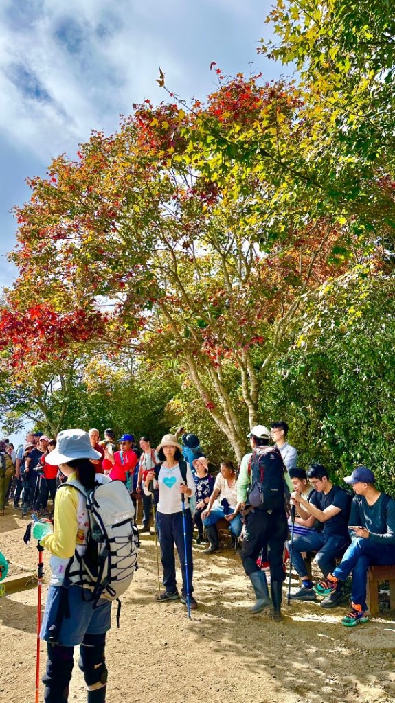 馬那邦山O走_2370150