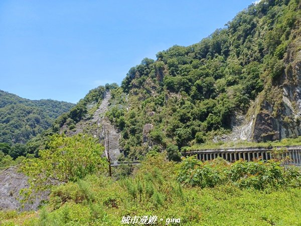 【花蓮秀林】台灣百大必訪步道。 白楊步道_2230628