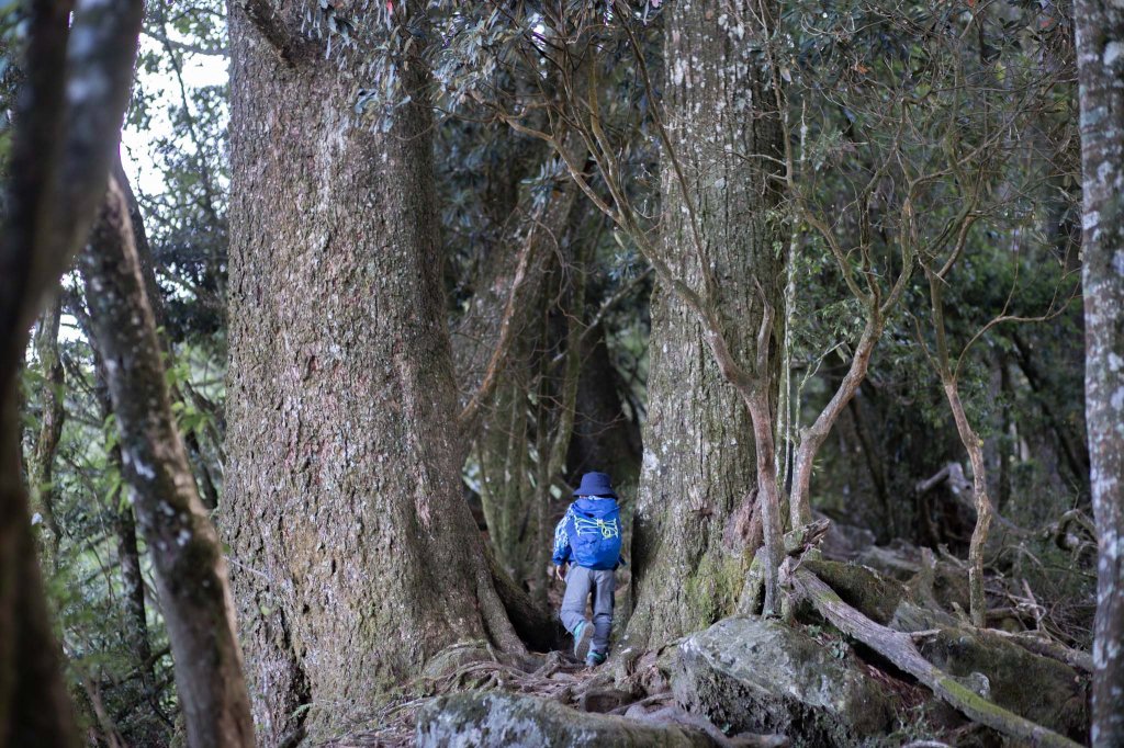 百變的夢幻山域 - 稍來南峰 & 稍來山_1483764