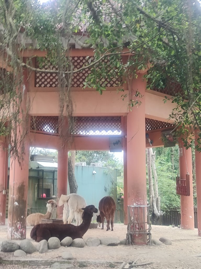 台北動物園_2664063