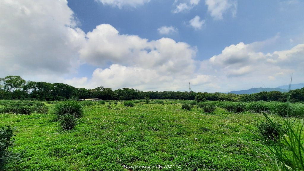 《苗栗》桐花茶園｜四月雪小徑登慈濟山三義山20250427_2771353