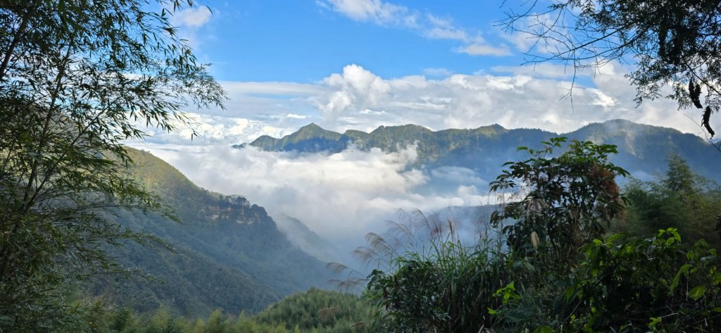 溪頭五連峰O繞（大崙頭／樟空倫／貓冬望／志騰／竹崙）_2652433
