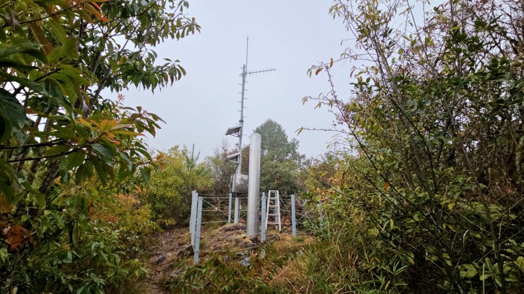 追趕跑跳蹦的羅馬縱走_2666133