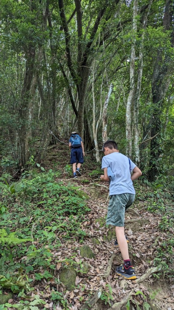 赤柯山 東獅頭山_2501617