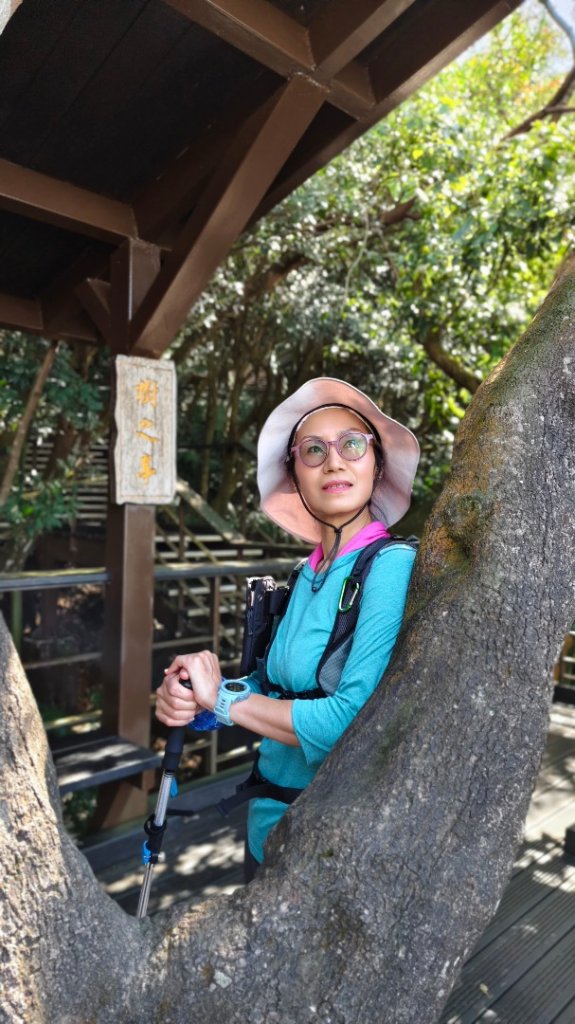 大崙頭尾山_2992015