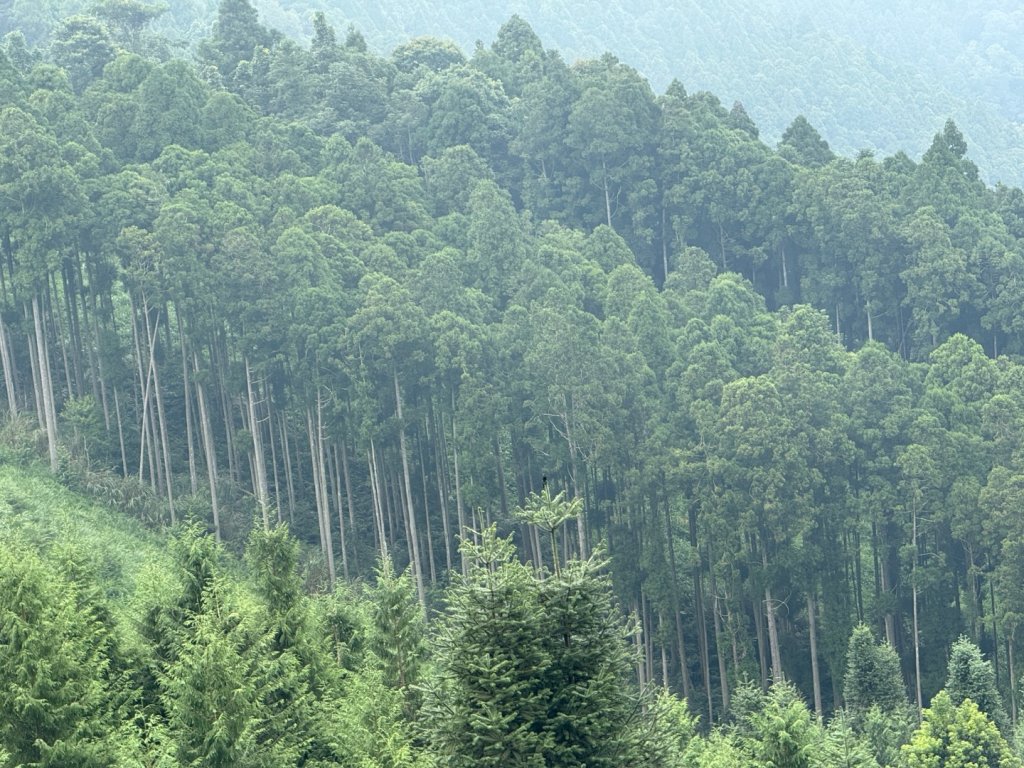 1140823油羅山_2868227