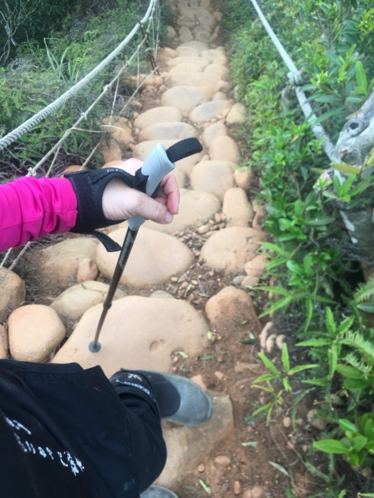 2020.3.27火炎山登山步道完走_905143