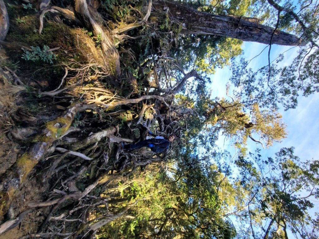 20230219 塔魔巴_2037267