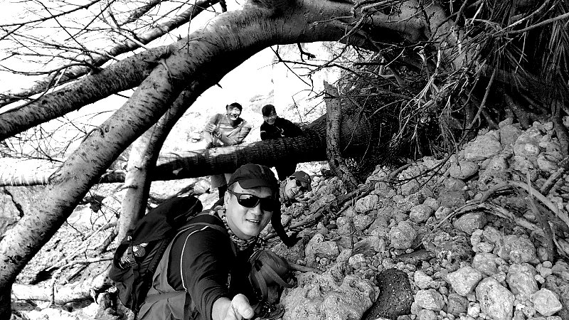 城市桃花源 ~ 阿塱壹 在 高雄_821696