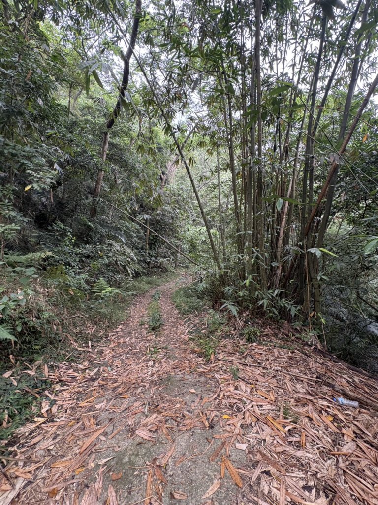 20251108西阿里關山步道(小林村東側登山口啟登)_2933478