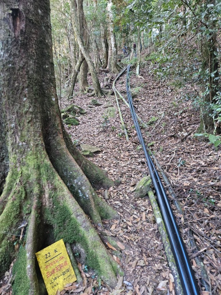 20241130五峰天際線-上瑞步道封面圖