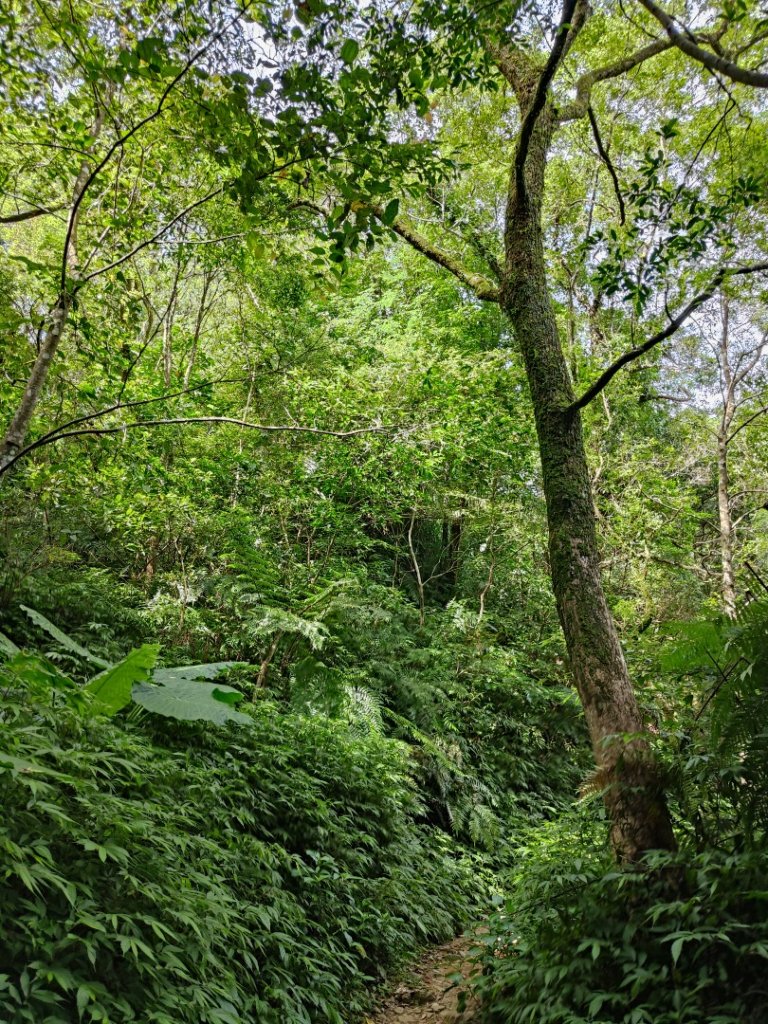 2023.08.26 草湳登二格山_2468904
