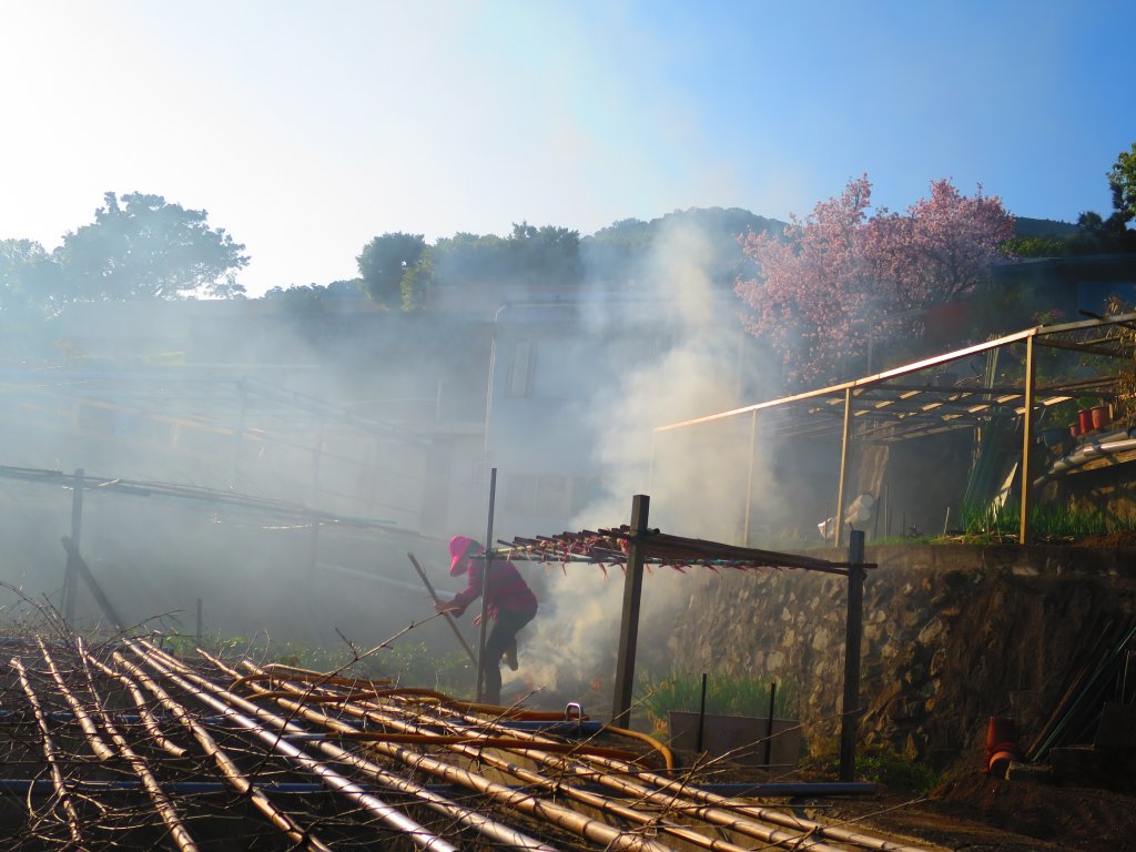 【台北北投】走十八份水圳步道 賞觀音山夕照_1743507