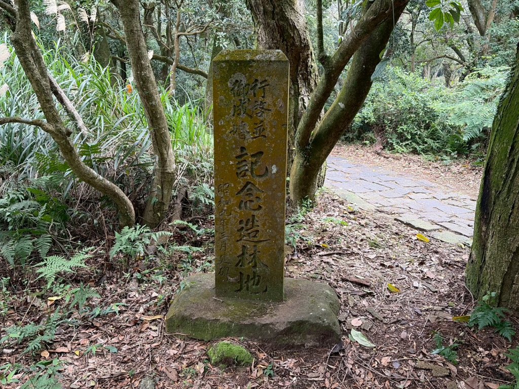 台北 北投 七星山主東峰苗圃線_3004619