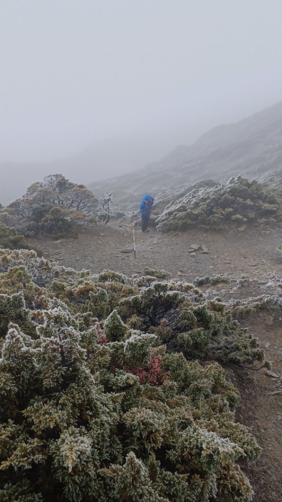 玉山南峰_2116613