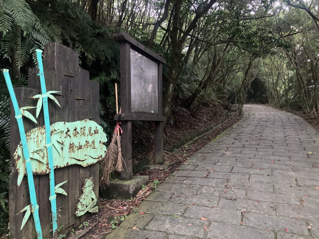 大崙頭山_2532693