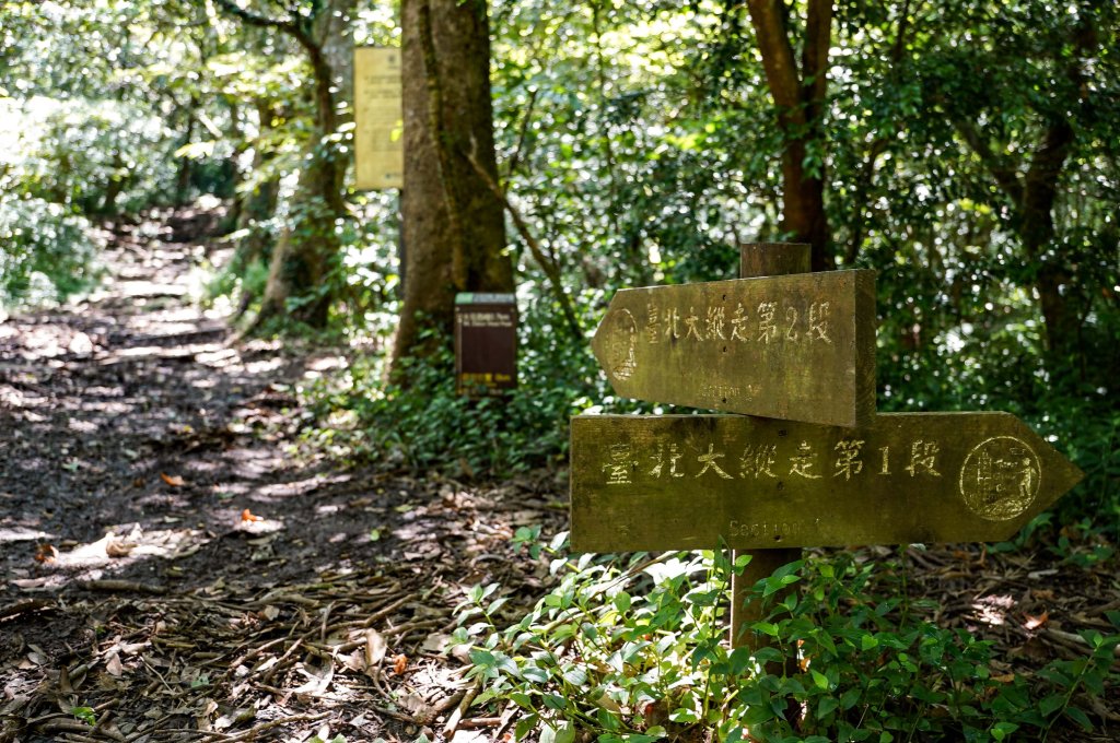 大屯山連峰步道｜陽明山小百岳_2856273