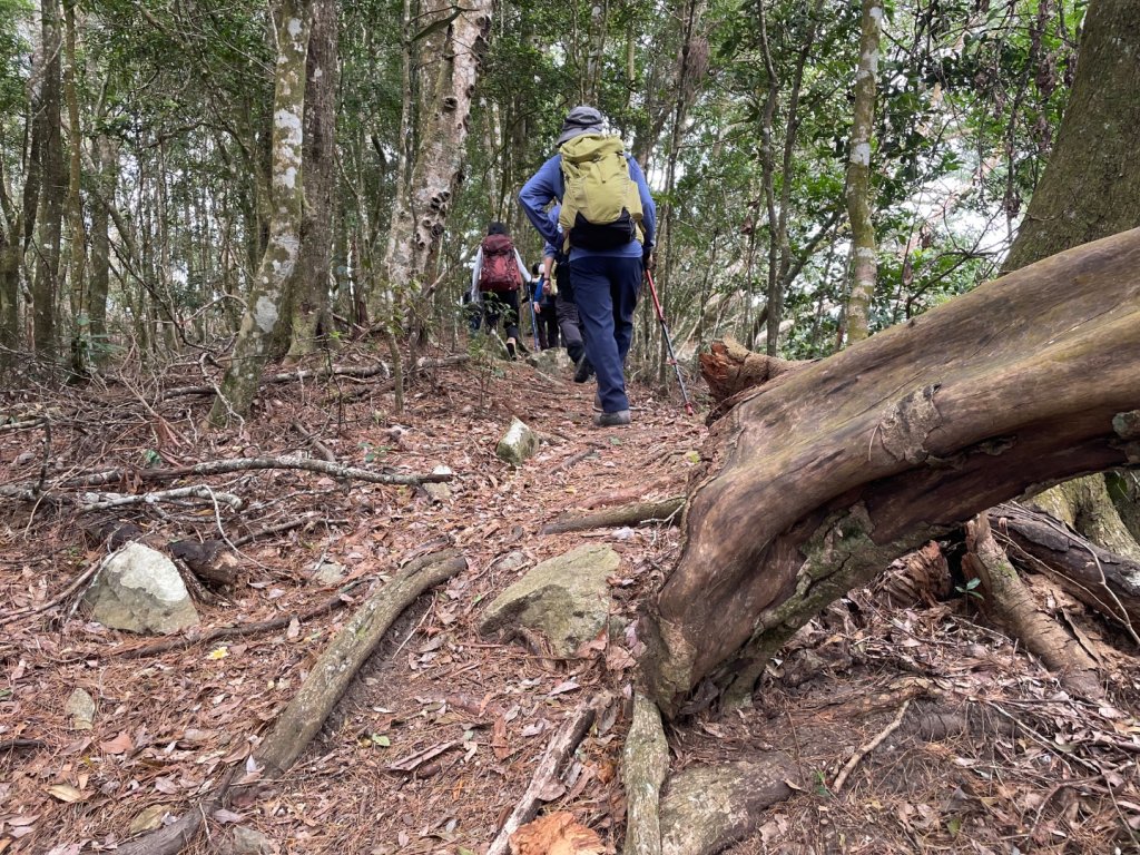 谷關七雄｜一日東屋縱走_2923894