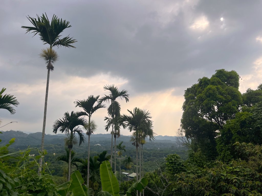 [皮皮獅Hike客任務-10/10] 2024_0831 十二寮古道封面圖