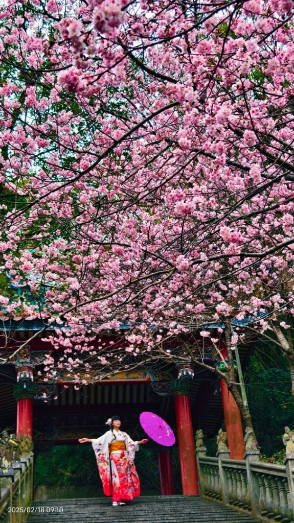 內湖碧山巖 2/18_2714795