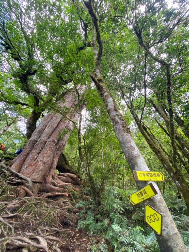 加羅湖。無與倫比的美麗與泥濘_1486336