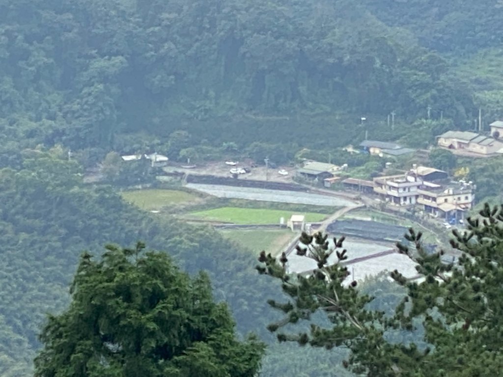 037苗栗泰安-馬那邦山_2604689