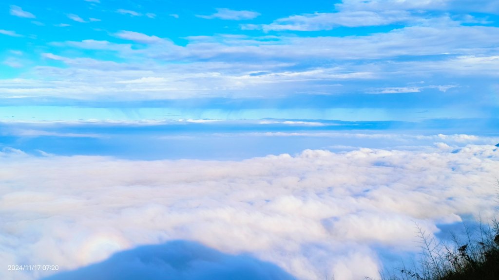 阿里山 #隙頂二延平 #頂石棹 #觀音圈 #雲海 #琉璃光 #雲瀑 #霧虹 11/17_2649779