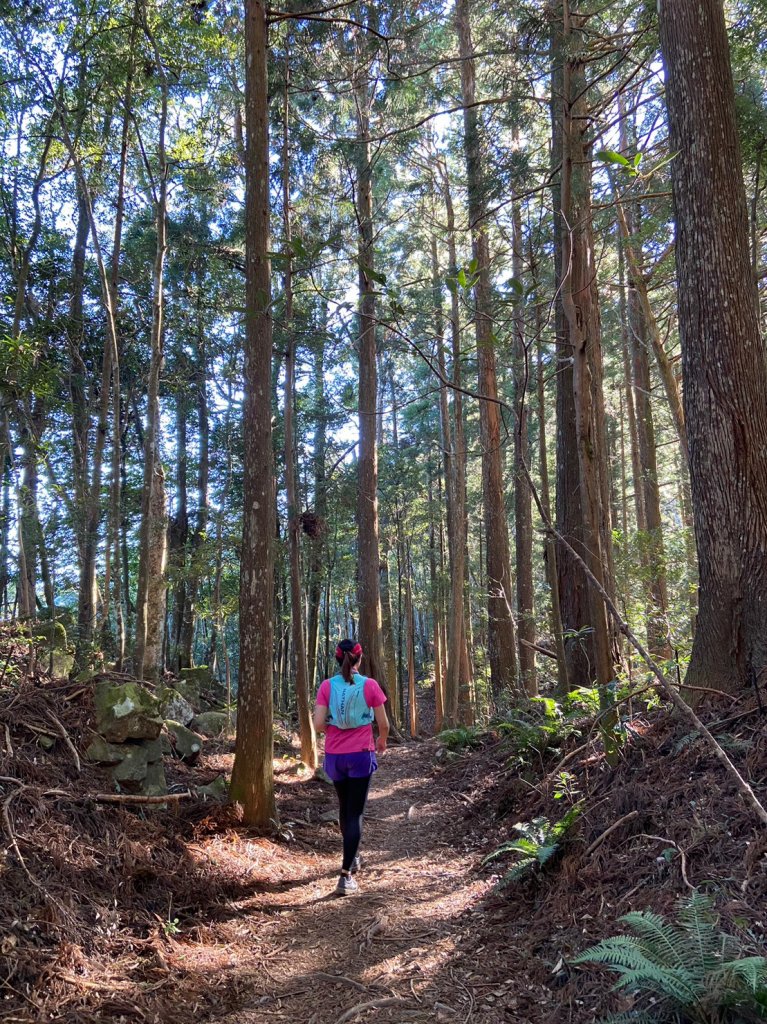 高島縱走_1921445