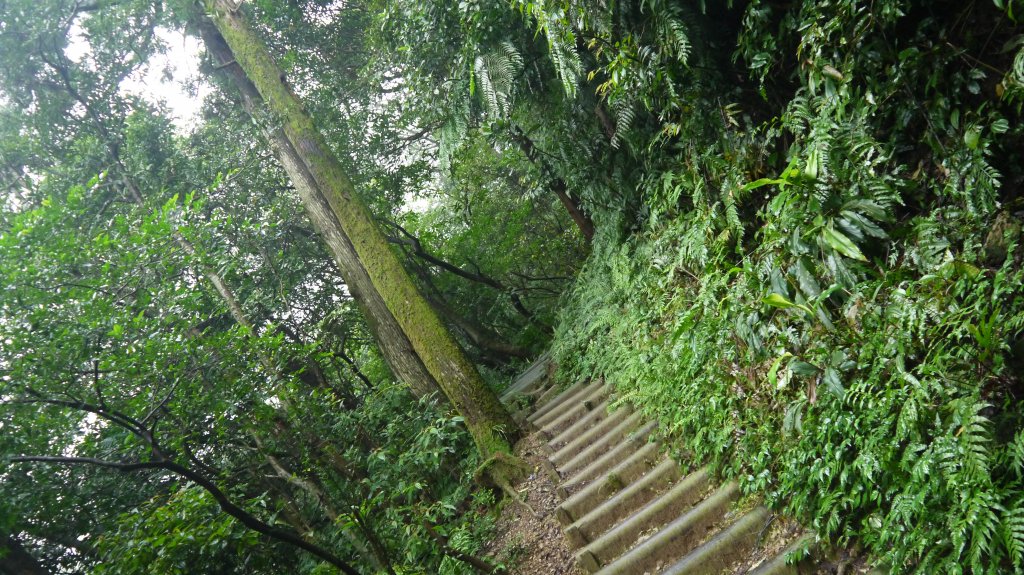 暖東舊道登山健行趣(淡蘭中路TK2-3)_1616749