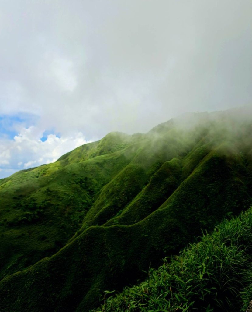 宜蘭抹茶山（聖母步道-巴唐古道-三角崙山）_2535715