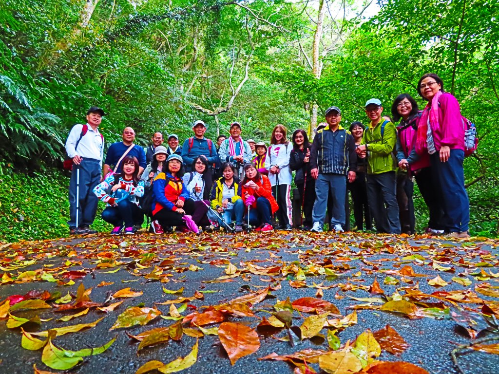 好療癒及老少咸宜的步道：百吉林蔭步道_551069