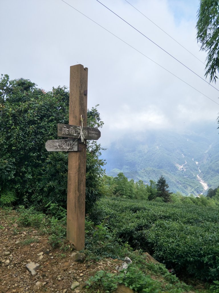 嘉義百大步道：桃荀古道與大尖山_1414707