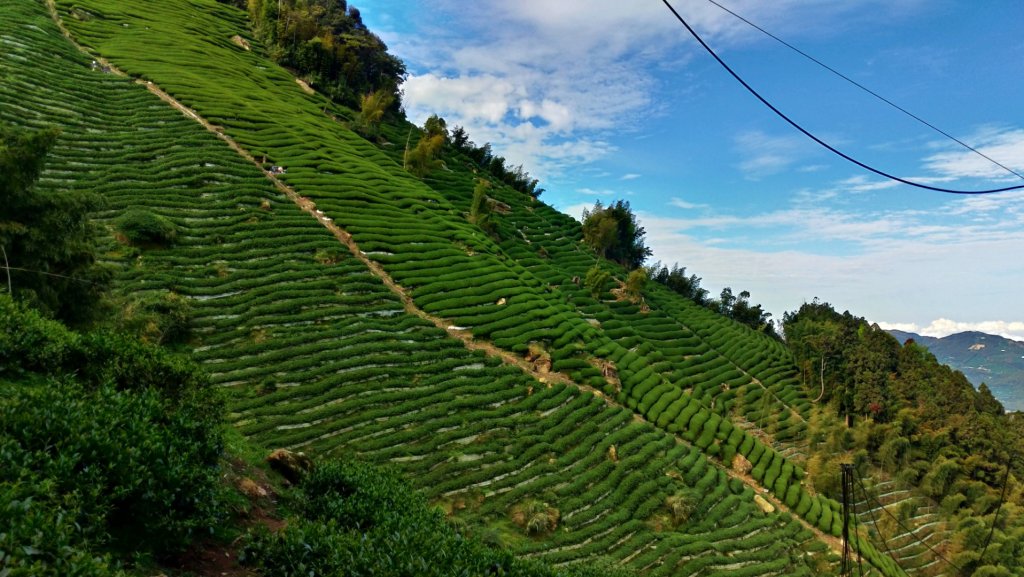 小百岳【金柑樹山】_948737