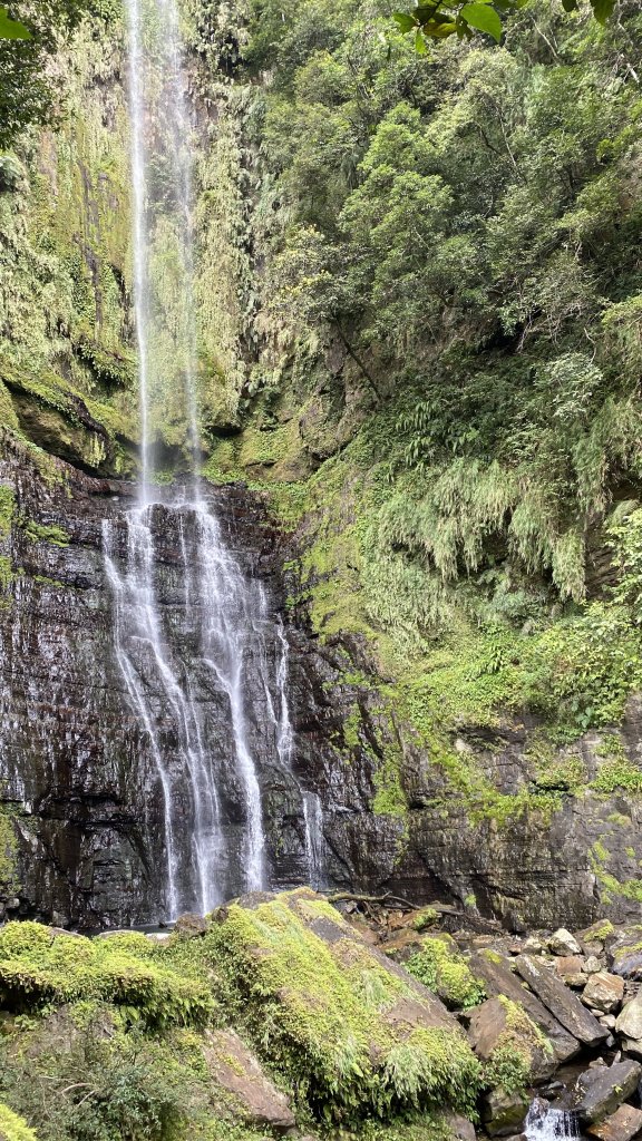 礁溪五峰旗探險趣_818790