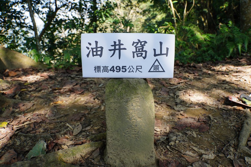 新竹 關西 蓬萊仙島山、石牛山、油井窩山、福大山封面圖