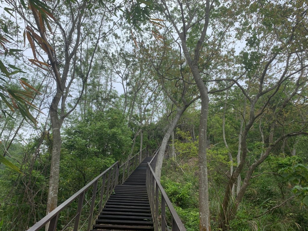 九九峰森林步道_2769005