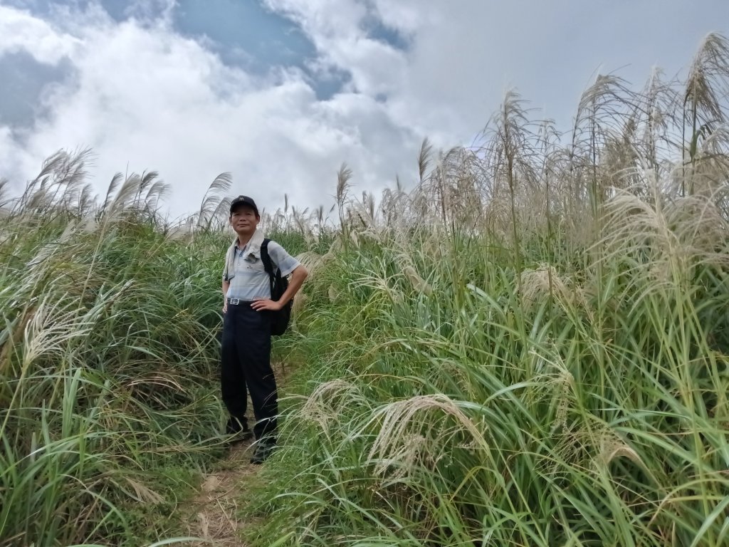 雙溪區不厭亭+草山公路+牡丹山+不厭亭+金字碑古道(探幽亭)+三貂崙+不厭亭8字走_2941932