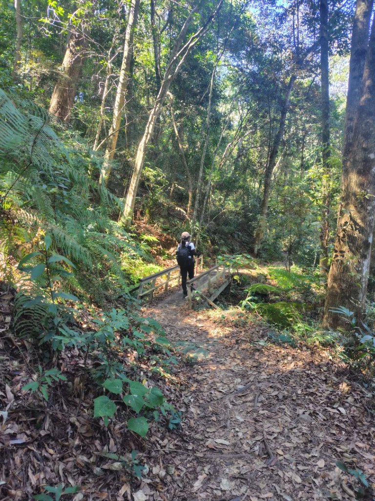 唐麻丹山 蝴蝶谷_2918988