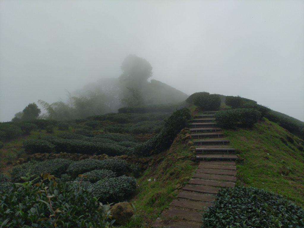 2023-05-28 雲嘉六連峰_2166206