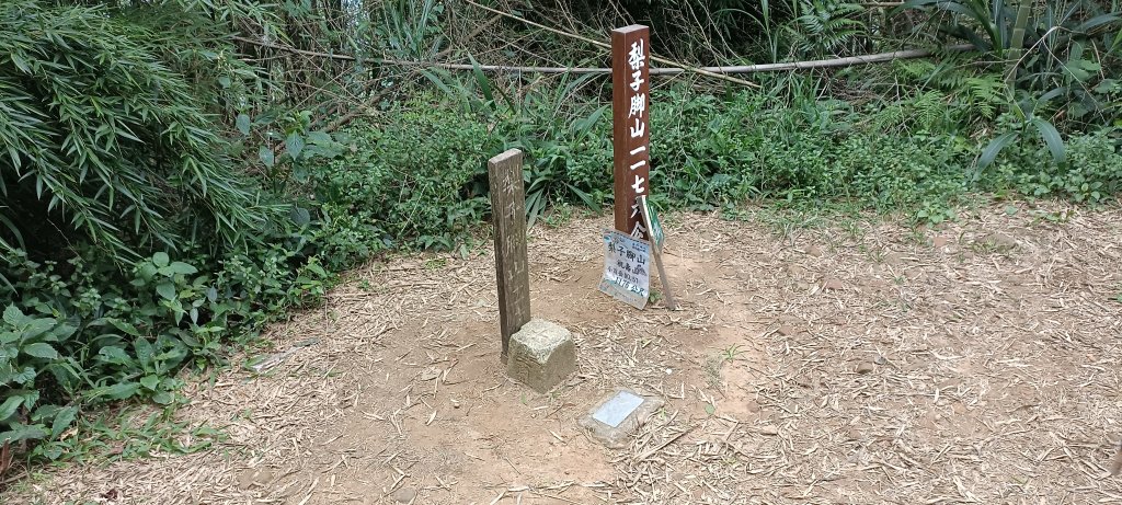 20220611_梨子腳山+太平山_1733257