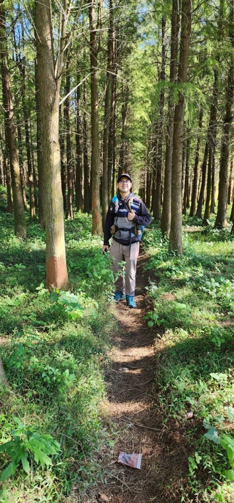 20241124南高山頂山-高山頂山-龜山頭山_2653402