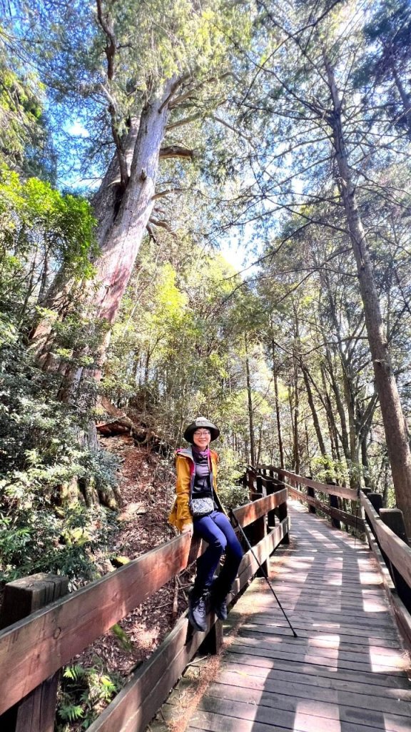 2/24-25觀霧檜山巨木步道群+樂雪縱走_2441204