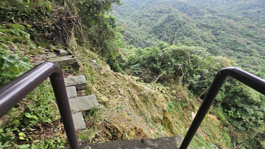 20251115冷水大山-頂中股山_2936646