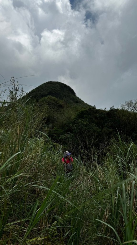 石龜山、叢雲山O走封面圖