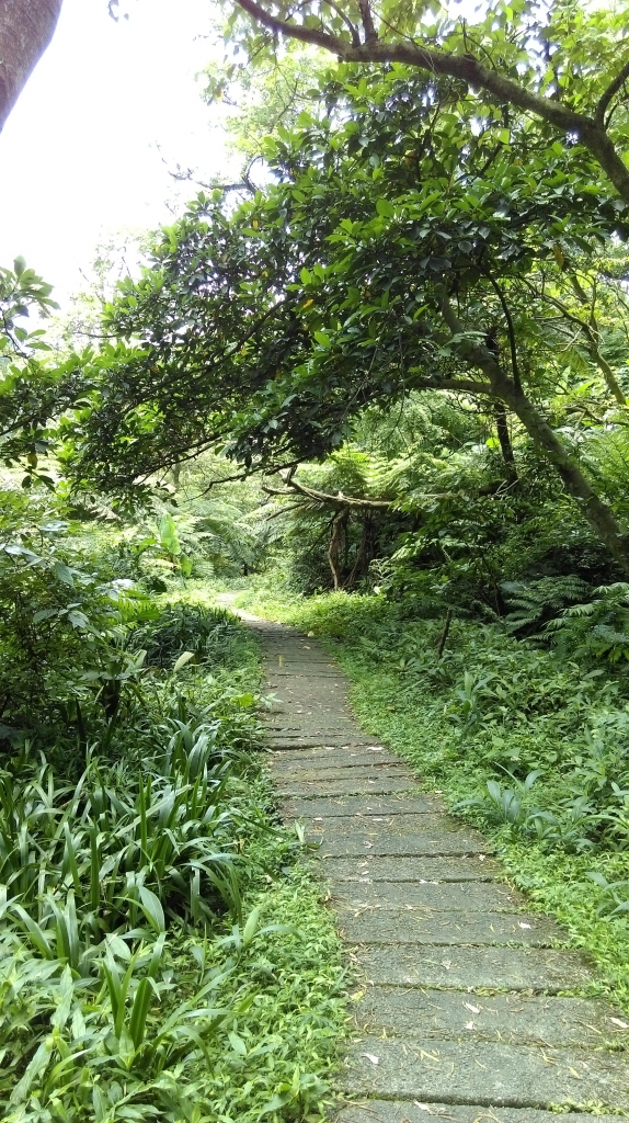 太極嶺-五城山-文筆山105.05.13_51358