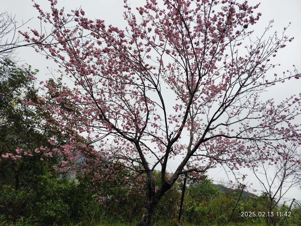 台北國軍英雄館→宜蘭縣員山鄉燈篙林道→礁溪郷潭酵天地觀光工廠→冬山鄉田老爺餐廳_2712048