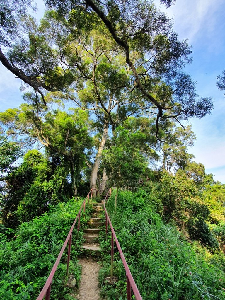 【社頭】十八彎古道連走中央嶺步道_1740761